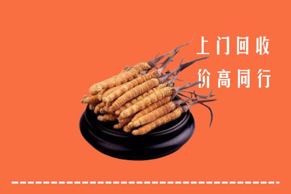 高价求购：鄂州市回收散虫草